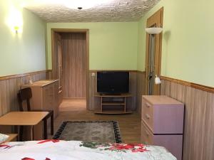a room with a bed and a tv in it at Jaani 2 Apartment in Pärnu
