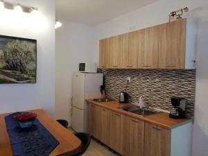 a kitchen with a sink and a refrigerator at APARTMANI NOVA in Živogošće