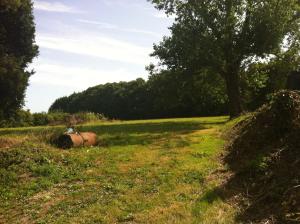 Gambar di galeri bagi Manoir de Parc ar Brun di Tréguier