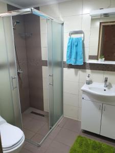 Vannituba majutusasutuses Etno Apartment Vrdnik
