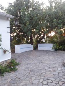 Vonkajšia záhrada v ubytovaní CASA EL CERRO