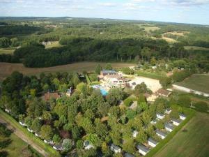 an aerial view of a house with a pool and trees at Camping LE PIGEONNIER in Saint-Crépin-et-Carlucet