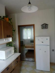 a kitchen with a white refrigerator in a room at U Žaludů in Ledenice