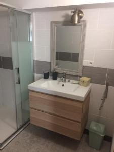 La salle de bains est pourvue d'un lavabo, d'un miroir et d'une douche. dans l'établissement Baiona, à Bayonne