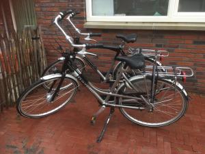 Катание на велосипеде по территории Huisje 19 Zoutelande или окрестностям