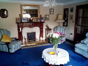 a living room with a fireplace and a vase of flowers on a table at Rosemount B&B in Dundalk
