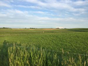 Galeriebild der Unterkunft Zameczek in Mikołajki