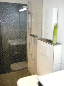 ヴィリンゲンにあるWietheger's Ferienwohnungenのバスルーム(シャワー、トイレ、洗面台付)