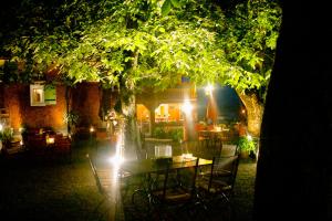 Κήπος έξω από το Hotel Gasthaus Schäfle