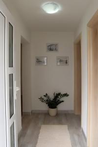 Fotografie z fotogalerie ubytování Apartman Sofia v destinaci Otočac