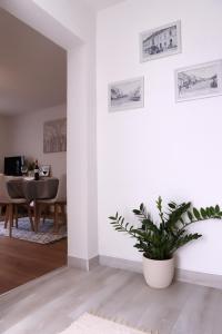 TV a/nebo společenská místnost v ubytování Apartman Sofia