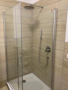 een douche met een glazen deur in een badkamer bij Silvias Ferienwohnung in Überlingen