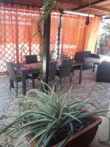 a patio with tables and chairs and a potted plant at Domu de Palla- IUN-E5167 in Bauladu