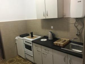 a small kitchen with a stove and a sink at Miron apart&rooms in Rafailovici