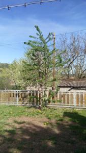 Ein Baum in einem Garten neben einem Zaun in der Unterkunft Ferienwohnung Anna in Maroldsweisach