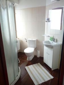 a bathroom with a toilet and a sink at U Žaludů in Ledenice