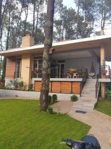 una casa con un árbol delante en Shekvetili Big Wonder, en Shekhvetili