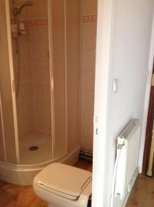 un baño con inodoro y ducha en Studio joigny Pereire, en Arcachon