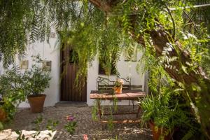 Vonkajšia záhrada v ubytovaní Casa con encanto en Alájar