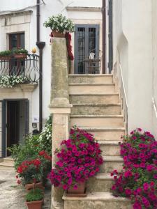 マルティナ・フランカにあるB&B Nel Centro Storicoの花鉢植えの階段