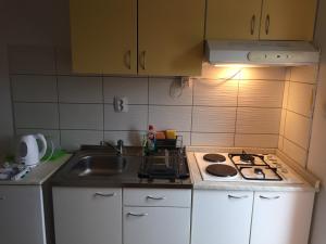 Kuchyňa alebo kuchynka v ubytovaní Studio Apartments MT