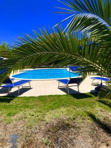 a pool with blue chairs and a palm tree at Agriturismo Rocce Bianche in Arbus