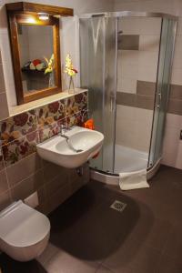 La salle de bains est pourvue de toilettes, d'un lavabo et d'une douche. dans l'établissement Kmetija Na Čendavš, à Cerkno