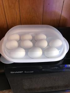 a tray of donuts sitting on top of a microwave at Cozy Corner Motel in Williamstown