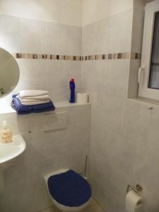 La salle de bains est pourvue d'une douche, de toilettes et d'un lavabo. dans l'établissement Gemütlich privat allergiearm, à Timmendorfer Strand