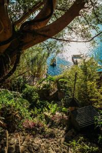 山林小屋周边自然景观