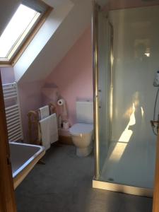 a bathroom with a toilet and a sink and a shower at Jasmine Cottage in Frome