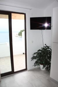 Zimmer mit Blick auf den Strand und eine Pflanze in der Unterkunft Guesthouse Santor in Lastovo