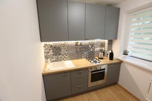 Gallery image of Delightful Apartment - FREE PARKING - NETFLIX in Kaunas