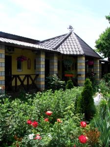 チョロノモスクにあるSvitochの花の咲く庭のある家
