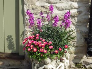 a flower arrangement on the side of a stone wall at Pond Farm in Pickering