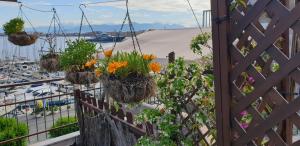Paesaggio naturale nelle vicinanze dell'appartamento