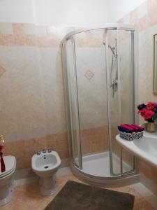 ピサにあるDa Francesca a Pisaのバスルーム(シャワー、トイレ、シンク付)