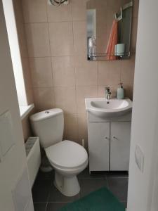 斯卡的住宿－Dzīvoklis Vecpilsētā，一间带卫生间和水槽的浴室