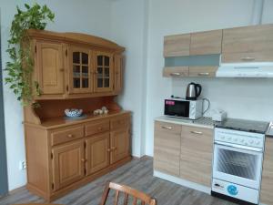 Kuchyň nebo kuchyňský kout v ubytování Apartmány U splavu