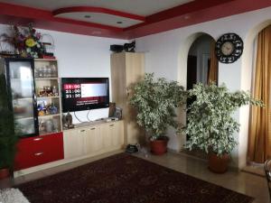 a living room with two potted plants and a tv at Guest House Neli in Nesebar