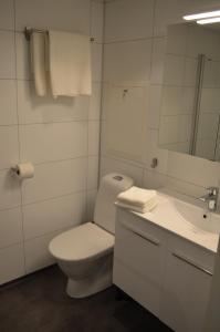 a white bathroom with a toilet and a sink at Einemo Apartments in Lærdalsøyri