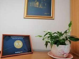Fotografie z fotogalerie ubytování Apartment Markorcula v destinaci Korčula