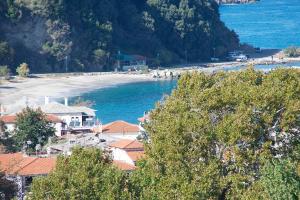 a view of a beach with houses and the ocean at Triantafyllia's House in Agios Ioannis Pelio