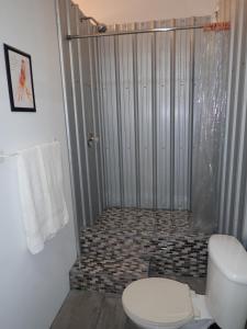 a bathroom with a shower with a toilet in it at Simberts Apartments in Maya Beach +24 photos