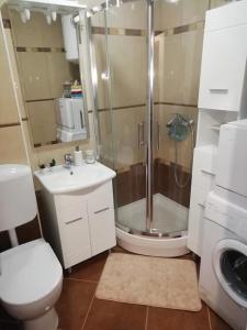 a bathroom with a shower and a toilet and a sink at Apartment Sun & Sea in Krk +57 photos