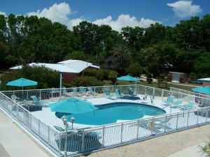- une piscine avec des chaises longues et des parasols dans l'établissement Rock Reef Resort, à Key Largo