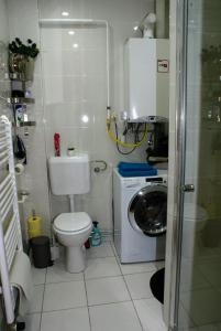 a bathroom with a toilet and a washing machine at Parva Villa in Miskolc