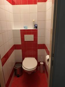 Koupelna v ubytování Krásný byt v centru Děčína