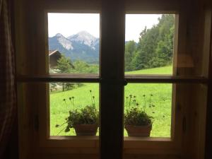 una finestra con due piante in vaso che guardano fuori un campo di Cozy Log Cabin near Faaker See a Ledenitzen