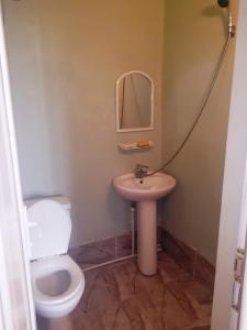 Un baño con inodoro, lavabo y espejo. en Guest House Ilia, en Borjomi 20 fotos más